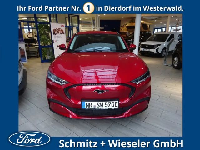 Ford Mustang Mach-E Basis,Navi,PaketCo-Pilo,Fina3,99%