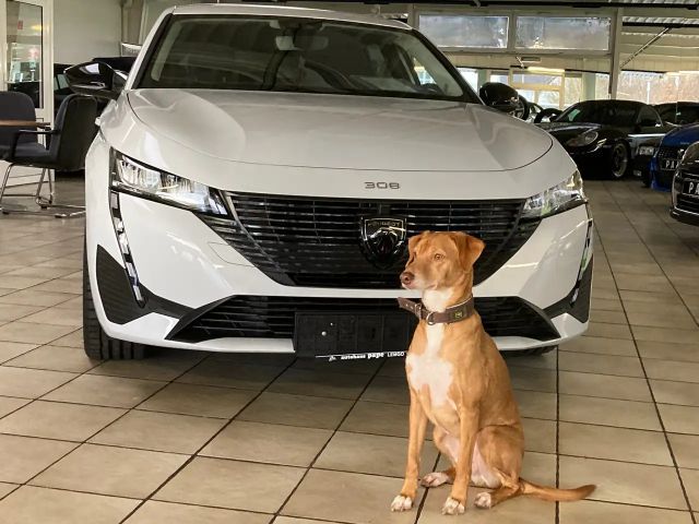 Peugeot 308 Active Pack