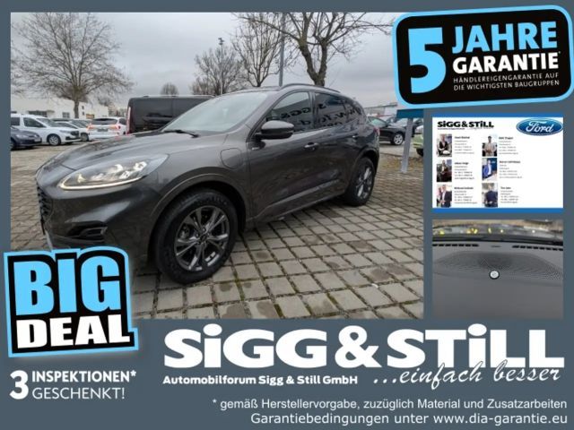 Ford Kuga Plug in Hybrid ST Line X