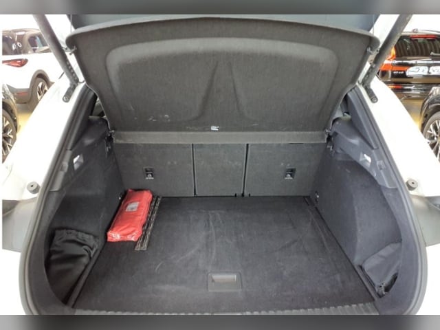 Cupra Terramar 1.5 eTSI