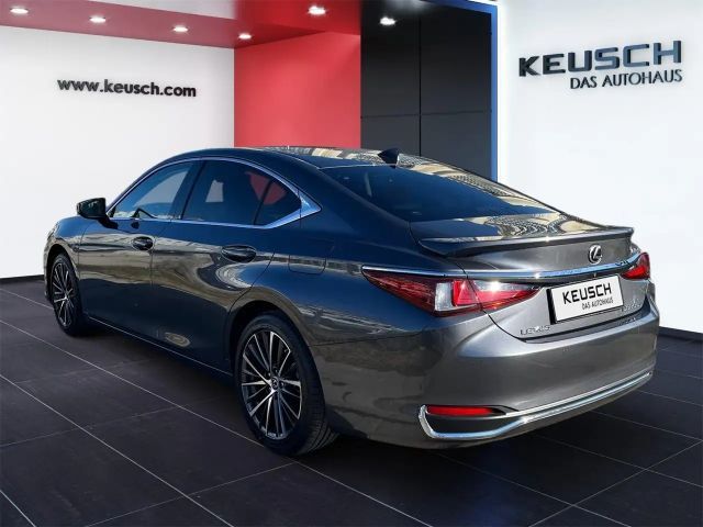Lexus ES Business Line