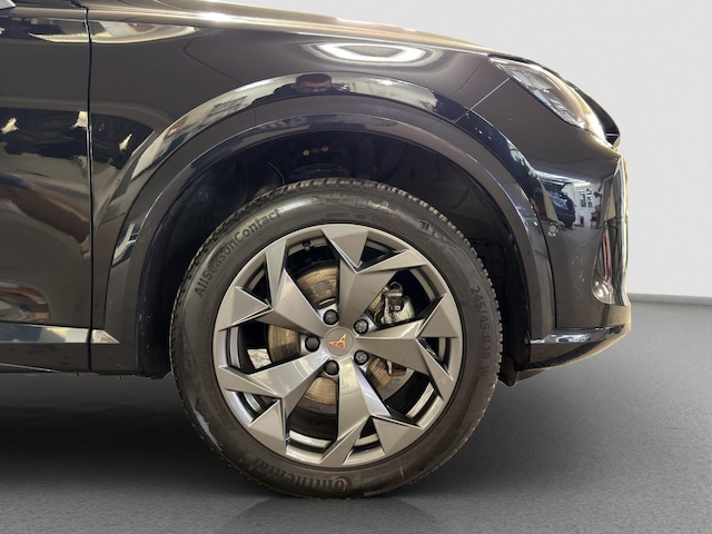 Cupra Formentor 2.0 TDI 360° ACC Assist LenkHzg Alarm sound+