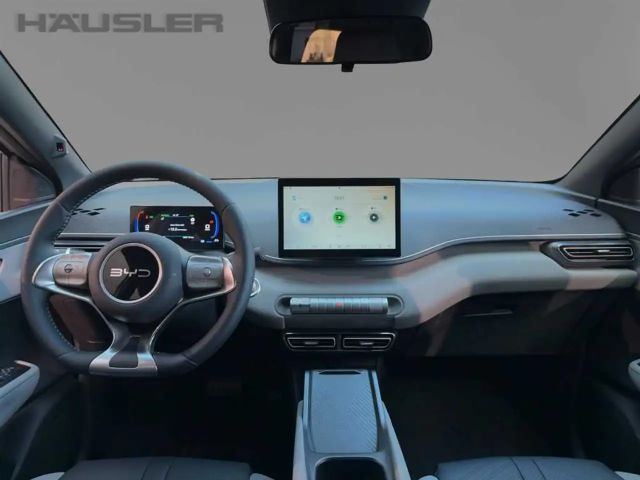 BYD Dolphin Surf CarPlay Klima Navi Leder