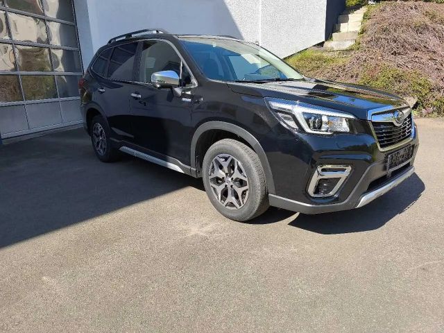 Subaru Forester Comfort e-Boxer e-Boxer