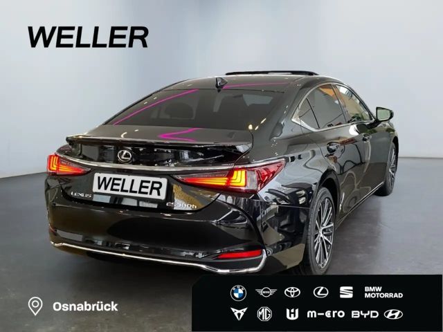 Lexus ES Business Line