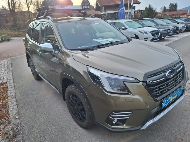 Subaru Forester Comfort