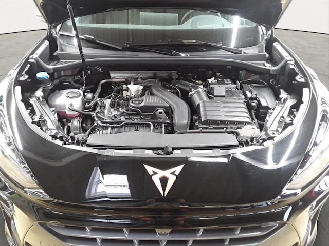 Cupra Terramar 1.5 eTSI