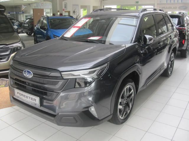 Subaru Forester AWD Exclusive