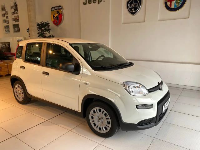 Fiat Panda Hybrid Pandina