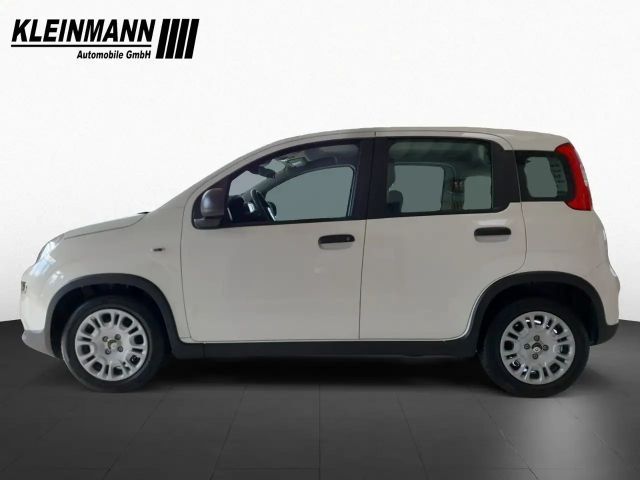 Fiat Panda "Pandina Urban" 1.0 GSE Hybrid (71 PS)