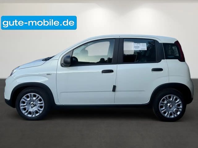 Fiat Panda Pandina Hybrid MY25 70PS