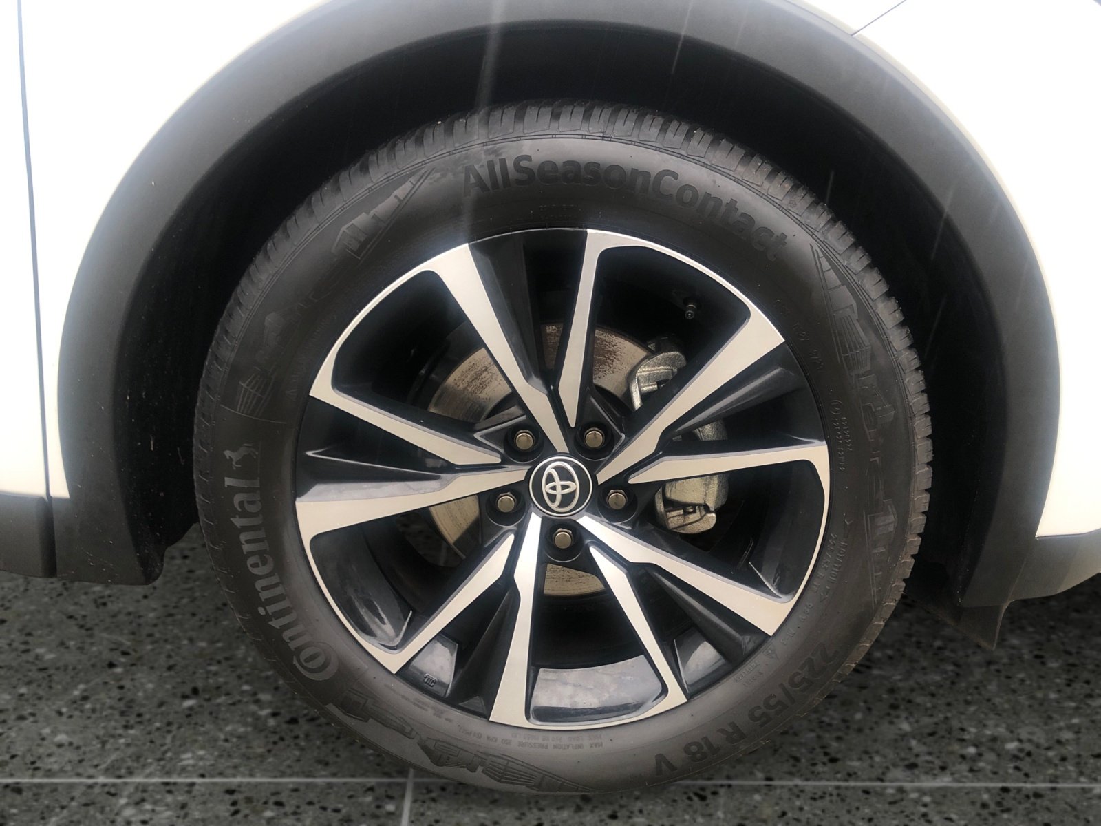 Toyota C-HR 5-deurs Team D