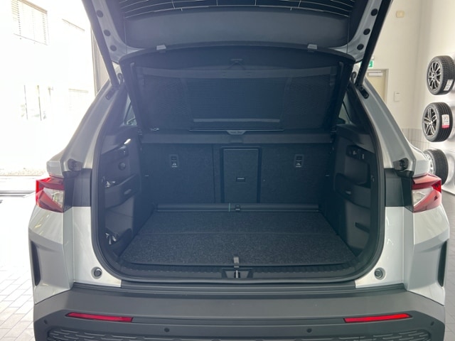 Skoda Elroq *AHK, Matrix-LED, LM'-20*