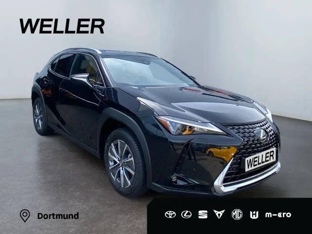 Lexus UX Executive Line