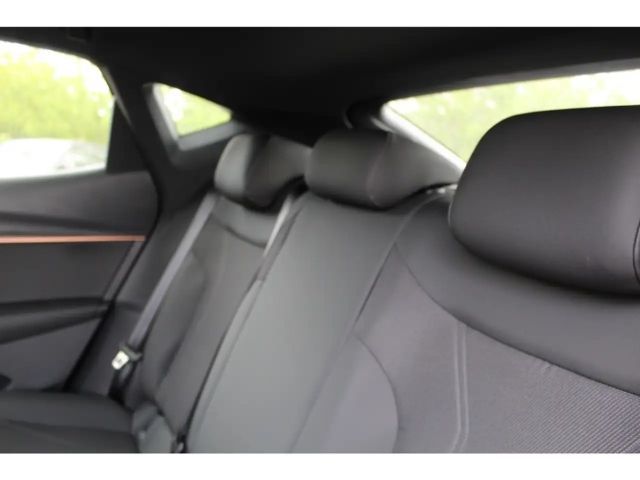 Cupra Tavascan 4Drive VZ