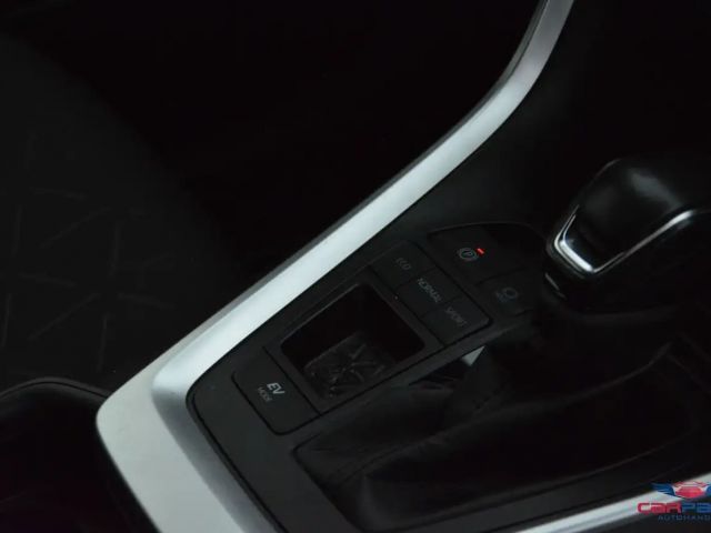 Toyota RAV4 Active Hybride