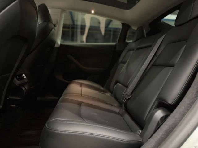 Tesla Model Y Performance