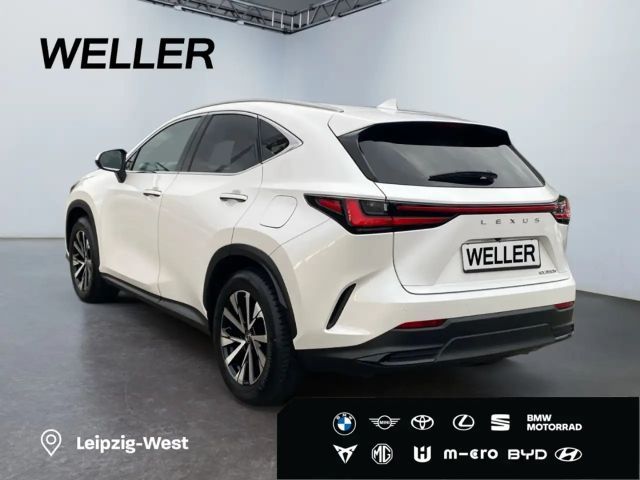 Lexus NX Business Line