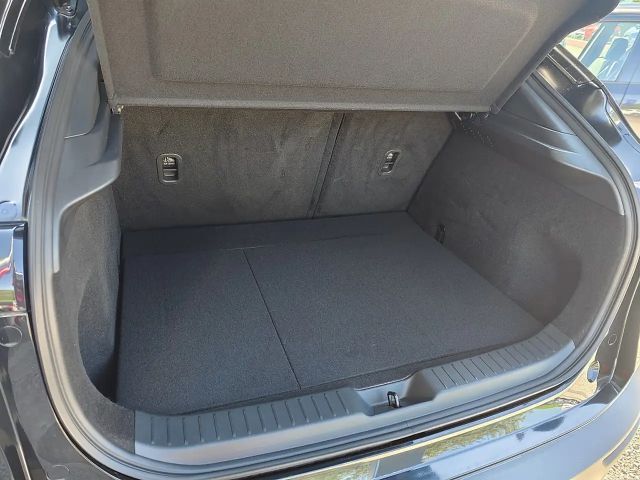 Mazda CX-30 e-Skyactive 2,5 4-Zylinder G140 NAGISA JAHRESWA...