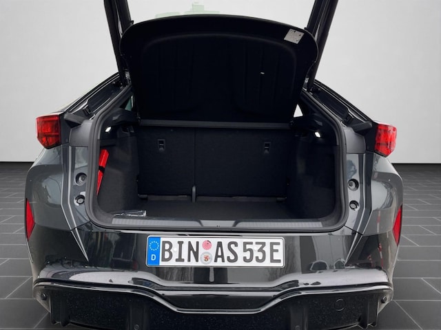 Cupra Tavascan Endurance