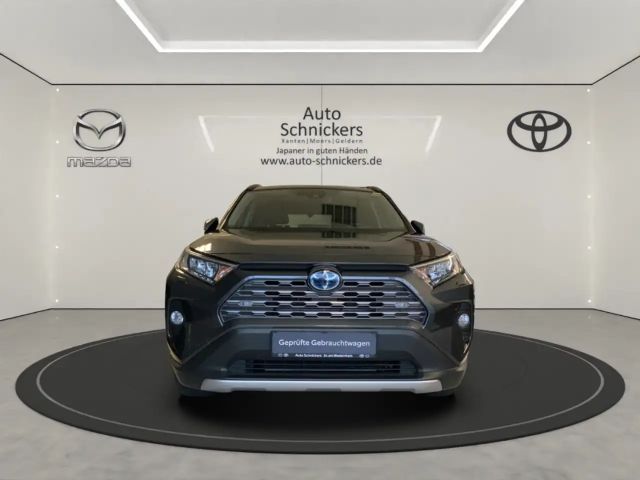 Toyota RAV4 Hybride Team D