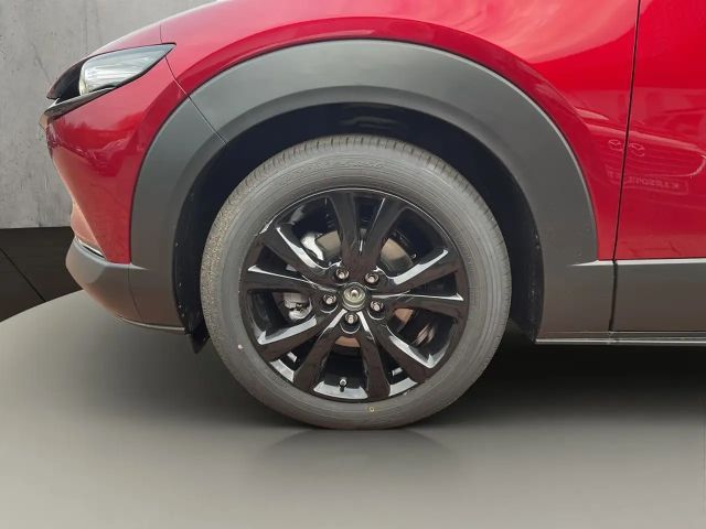 Mazda CX-30 NAGISA +BOSE+KAMERA+