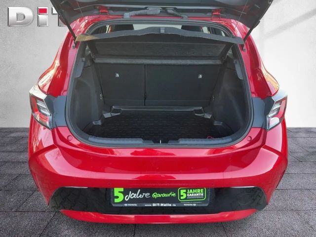 Toyota Corolla Team D