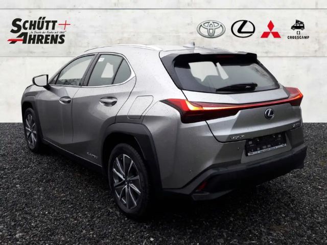 Lexus UX Exe LED ASSI ACC KAM Leder NAVI