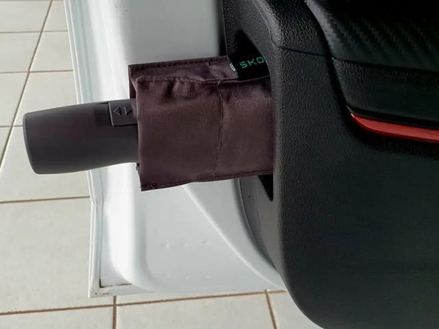 Skoda Fabia Monte Carlo