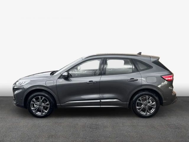 Ford Kuga Plug in Hybrid ST Line