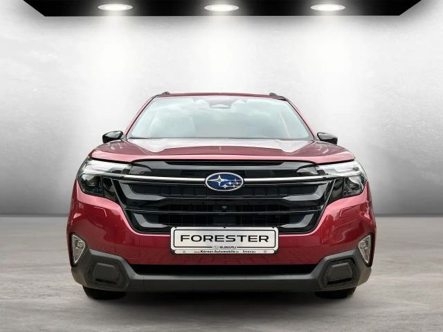 Subaru Forester 2.0ie Platinum (Modell 2025)*Leder*Pano