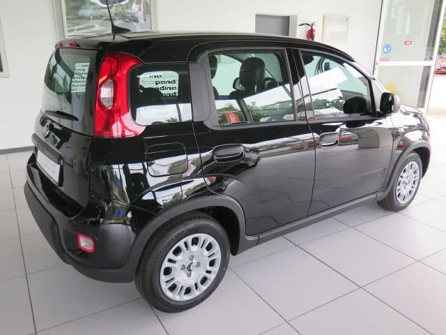 Fiat Panda Pandina