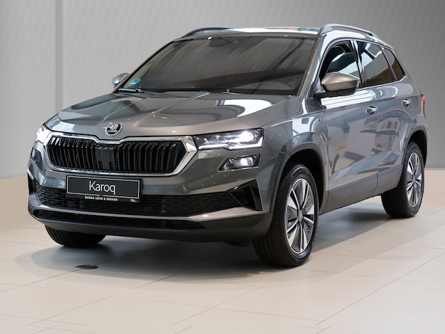 Skoda Karoq Drive