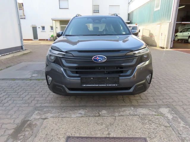 Subaru Forester Exclusive