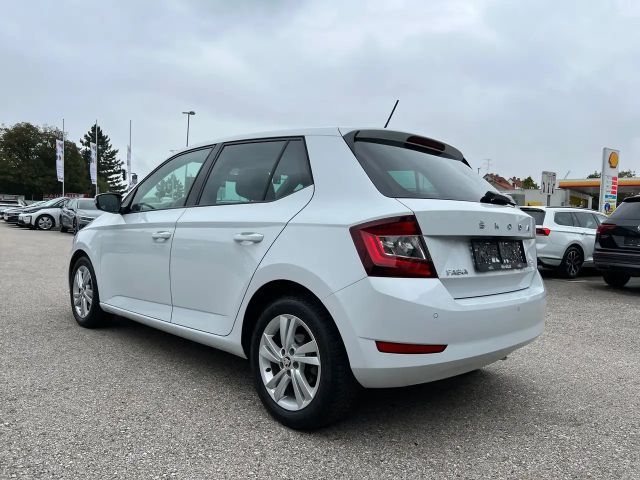 Skoda Fabia 1,0 TSI DSG | PDC