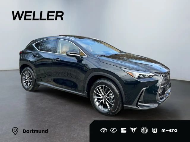 Lexus NX Executive Line