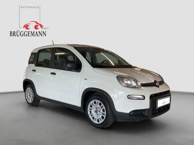 Fiat Panda 1.0 GSE Hybrid + Techpaket