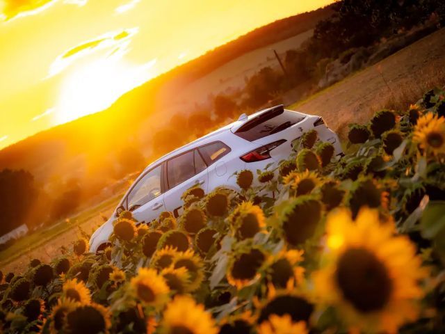 Suzuki Swace Comfort Hybrid