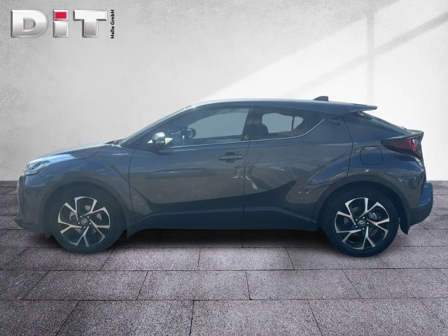 Toyota C-HR Hybride Team D