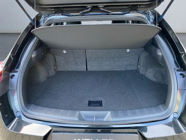 Lexus UX 250h F Sport Sport