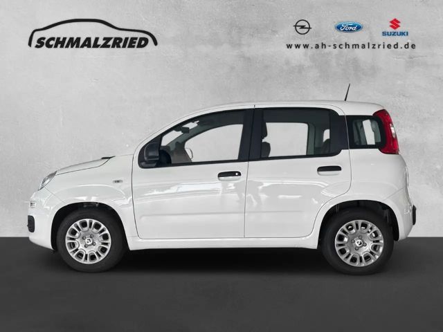 Fiat Panda 1.0 Mild Hybrid DAB Spurhalteass. Verkehrszeichene
