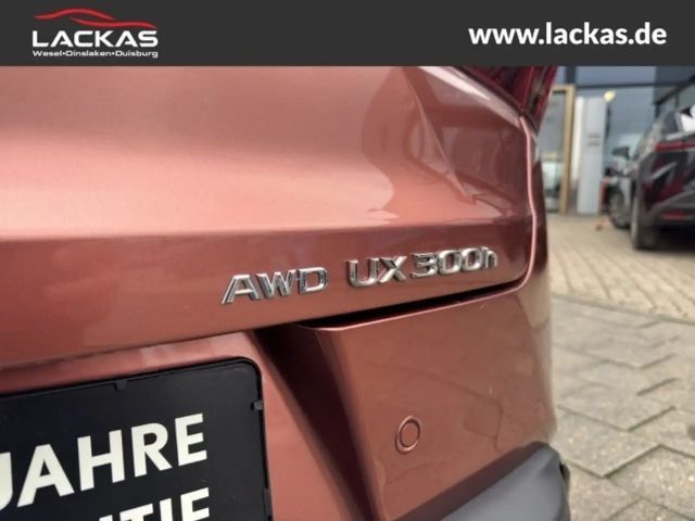 Lexus UX 250h F Sport Sport