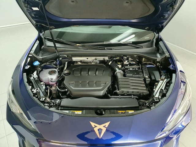 Cupra Terramar 2.0 TSI VZ