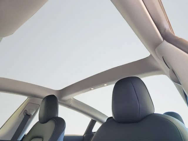 Tesla Model 3 Performance