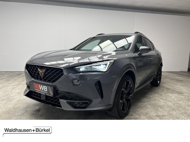 Cupra Formentor 2.0 TSI 4Drive DSG VZ