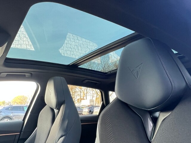 Cupra Terramar 2.0 TSI