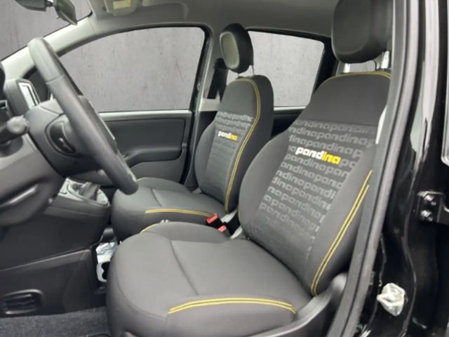 Fiat Panda /Pandina 1.0 Mild Hybrid/PDC/Start&Stopp