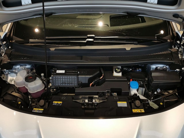 Cupra Born Born Edition Dynamic LED Navi Head Up Panorama