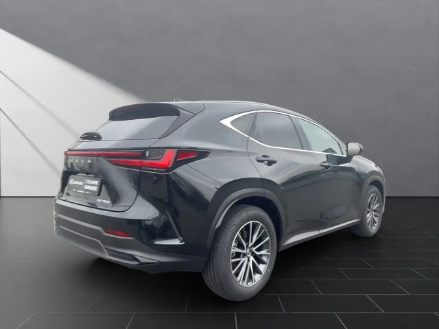 Lexus NX Executive Line