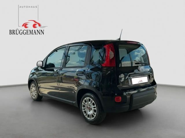 Fiat Panda 1.0 Hybrid